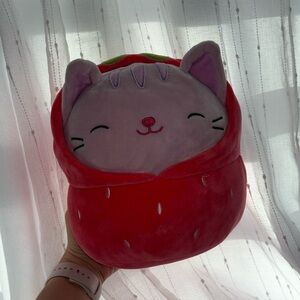 Laura squishmallow in perfect conditions